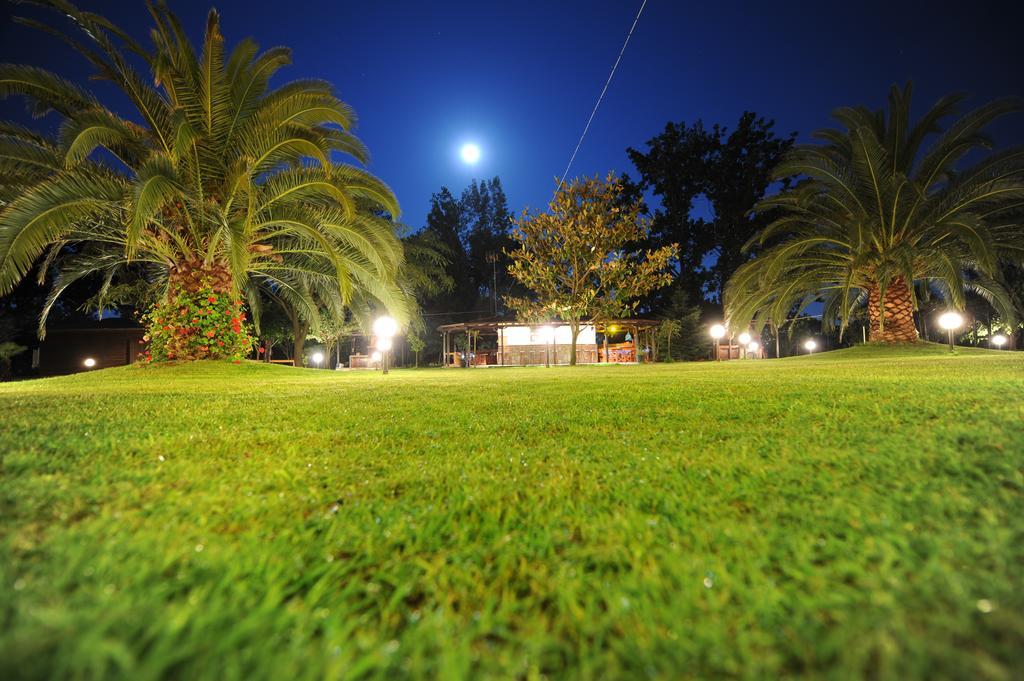 Nefeli Sykia